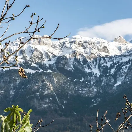 Chalet Steinbock - Griwa Rent Ag * Niederried bei Interlaken