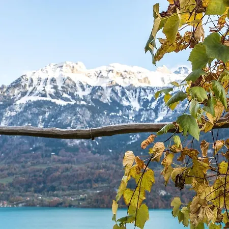 Chalet Steinbock - Griwa Rent Ag * Niederried bei Interlaken